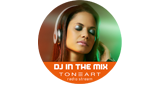 DJ In The Mix | Toneart