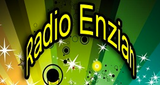 Radio Enzian