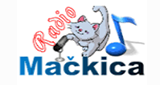 Radio Mackica – Narodna Muzika
