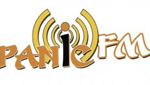 Radio Panic