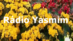 Rádio Yasmin