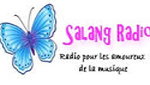 Salang Radio