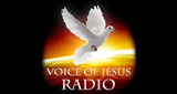 Voice of Jesus